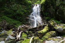 そんな飽き気味疲れ気味な感じで進んで行くと、荒れた沢筋の向こうに一筋の滝が落ちる。
ラスボスが近い感じを伺わせるなかなかいい雰囲気ですが、右岸も左岸も巻けそうもない。
どうやって進むんだよ?って、あれかっ!