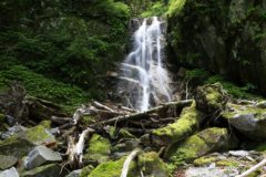 そんな飽き気味疲れ気味な感じで進んで行くと、荒れた沢筋の向こうに一筋の滝が落ちる。
ラスボスが近い感じを伺わせるなかなかいい雰囲気ですが、右岸も左岸も巻けそうもない。
どうやって進むんだよ?って、あれかっ!