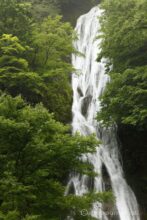 EOS5DsR+EF24-70mmF2.8LⅡUSM 70mm f11 0.8sec ISO100 PLフィルター