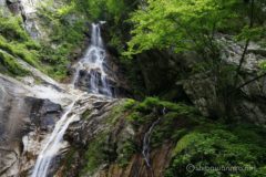 できれば最上段脇まで行ってその様子を写真に納めたいところですが、すでにもう16時半。
時間もなければ、倒木等を掻き分けてここまで来たので、気持ち的にもう結構参っている。
そもそも周囲の50mを超える岸壁を登ろうとしても、登れる所も見当たらない。
黒戸噴水滝、ここまでで十分です。