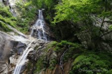 できれば最上段脇まで行ってその様子を写真に納めたいところですが、すでにもう16時半。
時間もなければ、倒木等を掻き分けてここまで来たので、気持ち的にもう結構参っている。
そもそも周囲の50mを超える岸壁を登ろうとしても、登れる所も見当たらない。
黒戸噴水滝、ここまでで十分です。
