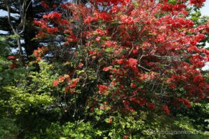 EOS5DsR+EF16-35mmF4L IS USM 26mm f16 1/20sec ISO100 PLフィルター