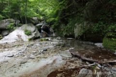 川の水量が多くはないうえ川底も浅いので、沢靴でなくともハイカットの防水登山靴であれば、濡れずに徒渉は可能です。
篠沢大滝への道は、「沢登り」ではなく、「踏み後程度のバリエーション登山道」という認識が適当でしょう。