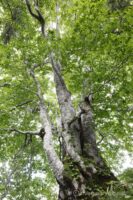 EOS5D MarkⅡ+EF24-105mmF4L IS USM 24mm f16 1sec ISO200 PLフィルター