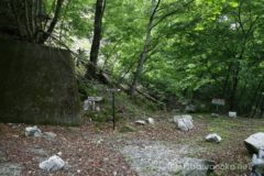 10:45 桑の木沢橋を渡った対岸が、篠沢大滝と桑の木沢との分岐。
左側に林道を進むと篠沢大滝へ。
右側に沢沿いに進むと桑の木沢で、黒戸噴水滝に至ります。
1日掛ければ、篠沢大滝と桑の木沢の両方を行けるお得なエリアです。
さて、どちらから行こう?