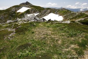 EOS5DsR+EF16-35mmF4L IS USM 21mm f11 1/60sec ISO100 PLフィルター