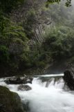 見上げると柱状節理の大岩壁が圧巻です。
湾曲しながら流れる柱状節理と断面のつぶつぶが凄い。
河津七滝で見れる柱状節理としては最大級ではないでしょうか。