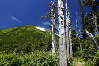 EOS5DsR+EF24-105mmF4L IS USM 24mm f16 1/20sec ISO100 PLフィルター