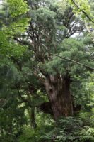 EOS5D MarkⅡ+EF24-105mmF4L IS USM 55mm f16 1sec ISO200 PLフィルター