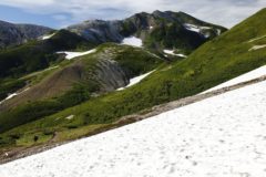 振り返ると、先ほどまでいた白馬岳が高く聳える。
なかなかこちら側から白馬岳を見ることが少ない。