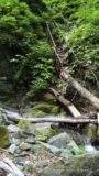 山梨県の渓谷道に共通する赤い鉄梯子が左岸にかかりますが、それをぶち壊すように大きな流木がめり込んでいる。
どうやったら流木がその高さの階段に刺さるのだろう?
激しすぎる。。。
やはり沢筋の渓谷道を維持するのは大変なのでしょう。