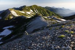 三国境まで下りると雪倉岳への分岐になります。
ここから雪倉岳方面へ進む人は少ない。というかもうずっと先に歩いて行っているのでしょう。
三国境付近はコマクサの群生地ですが、風も強くて登山道から離れているので撮るのは困難です。