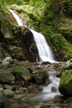 EOS5DsR+EF24-70mmF2.8LⅡUSM 42mm f16 1.6sec ISO100 PLフィルター