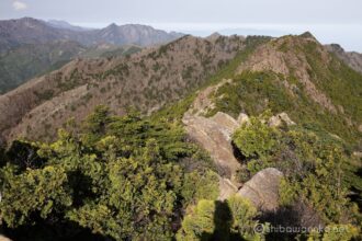 とりあえず山深い。
そして人の気配は全くない。