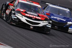 EOS5DsR+EF100-400mmF4.5-5.6L ISⅡUSM 278mmトリミング大 f8 1/125sec ISO100 PLフィルター