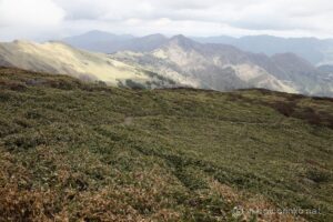 EOS5D MarkⅡ+EF24-105mmF4L IS USM 28mm f11 1/30sec ISO200 PLフィルター