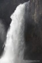 EOS5DsR+EF24-70mmF2.8LⅡUSM 63mm f4 1/800sec ISO100 PLフィルター