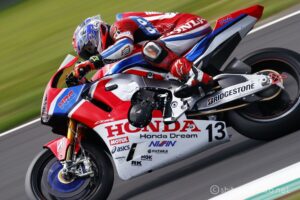 EOS5DsR+EF100-400mmF4.5-5.6L ISⅡUSM 400mmトリミング大 f8 1/125sec ISO100 PLフィルター