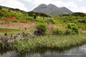 EOS5D MarkⅡ+EF24-105mmF4L IS USM 40mm f16 1/20sec ISO200 PLフィルター