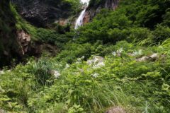 そして踏み跡の残る斜面の草むらを突っ切って行きます。
斜面の草むらはシモツケソウのピンクや白のお花畑になっており、その奥には落差80mの惣滝がだんだんと迫ってくる。
素晴らしい景色とピリッとした緊張感がたまらなくいい!