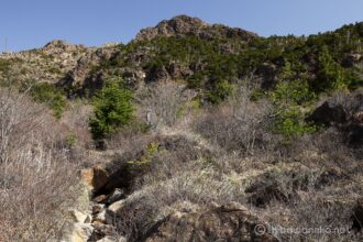 EOS5D MarkⅡ+EF24-105mmF4L IS USM 50mm f16 1/20sec ISO200 PLフィルター