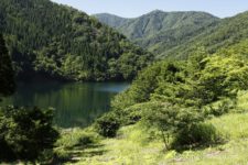 登山口にアクセスする途中、九頭竜湖を通り過ぎる。
深い山々に囲まれてエメラルドグリーンの湖水をたたえる九頭竜湖が美しい。
そして車通りがほとんどない。。。
夜来たら真っ暗で本当に寂しい所に違いない。
