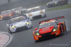 EOS5DsR+EF100-400mmF4.5-5.6L ISⅡUSM +エクステンダーEF1.4Ⅲ 560mmトリミング小 f9 1/500sec ISO250