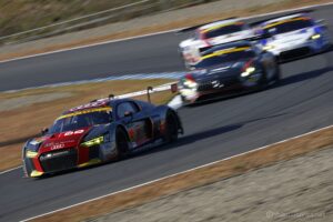 EOS5DsR+EF100-400mmF4.5-5.6L ISⅡUSM 400mmトリミング小 f11 1/125sec ISO100