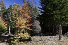 10:50 七面山山頂着。
七面山の山頂は展望はありませんが、静かな空間にありました。
紅葉と富士山も見れたし、山中の立派な寺院も見れたし、もう満足です。