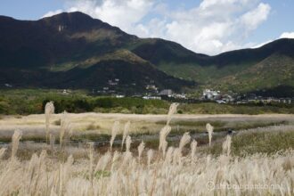 EOS5D MarkⅡ+EF24-105mmF4L IS USM 60mm f16 1/30sec ISO200 PLフィルター