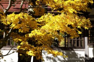 EOS5D MarkⅡ+EF24-105mmF4L IS USM 75mm f16 1/15sec ISO200 PLフィルター