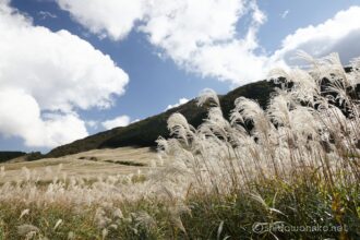 EOS5D MarkⅡ+EF24-105mmF4L IS USM 24mm f16 1/45sec ISO200 PLフィルター