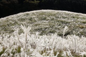 EOS5D MarkⅡ+EF24-105mmF4L IS USM 70mm f22 1/30sec ISO200 PLフィルター