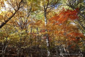 EOS5D MarkⅡ+EF24-105mmF4L IS USM 24mm f11 1/6sec ISO200 PLフィルター