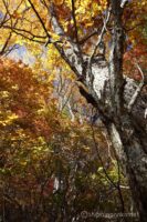 EOS5D MarkⅡ+EF24-105mmF4L IS USM 24mm f16 1/6sec ISO200 PLフィルター