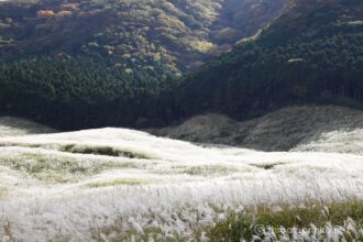 EOS5D MarkⅡ+EF24-105mmF4L IS USM 70mm f16 1/15sec ISO200 PLフィルター