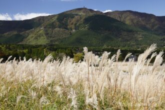 EOS5D MarkⅡ+EF24-105mmF4L IS USM 45mm f22 1/15sec ISO200 PLフィルター