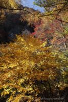 EOS5D MarkⅡ+EF24-105mmF4L IS USM 40mm f16 1/10sec ISO200 PLフィルター