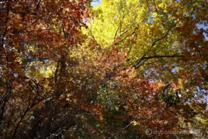 EOS5D MarkⅡ+EF24-105mmF4L IS USM 24mm f16 1/6sec ISO200 PLフィルター