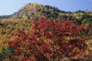 EOS5D MarkⅡ+EF24-105mmF4L IS USM 75mm f22 1/6sec ISO200 PLフィルター