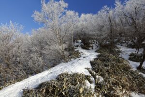 EOS5DsR+EF16-35mmF4L IS USM 17mm f11 1/25sec ISO100 PLフィルター