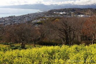 EOS5DsR+EF24-70mmF2.8LⅡUSM 39mm f16 1/25 ISO100 PLフィルター