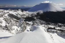 09:30 トーミの頭まで戻ってきた。
浅間山は依然として快晴で、光が回っていい感じになってきた。
今から草すべり下って前掛山行っちゃう?ってまたウロウロ10分。帰るべ...(再)。