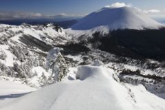 09:30 トーミの頭まで戻ってきた。
浅間山は依然として快晴で、光が回っていい感じになってきた。
今から草すべり下って前掛山行っちゃう?ってまたウロウロ10分。帰るべ...(再)。
