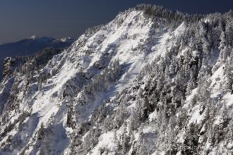 EOS5DsR+EF100-400mmF4.5-5.6L ISⅡUSM 100mm f11 1/100sec ISO100 PLフィルター