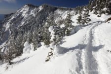 だめだ、疲れすぎている。あと4~5時間の登山を受け入れる体力と気力と時間なし。
今日は帰るべ。。。
「なんかまったく自分らしくなし。」とかとか消化不良気味で帰路につく。