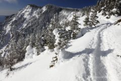 だめだ、疲れすぎている。あと4~5時間の登山を受け入れる体力と気力と時間なし。
今日は帰るべ。。。
「なんかまったく自分らしくなし。」とかとか消化不良気味で帰路につく。