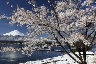EOS5DsR+EF24-70mmF2.8LⅡUSM 30mm f16 1/60sec ISO100 PLフィルター