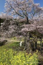 EOS5DsR+EF24-70mmF2.8LⅡUSM 35mm f16 1/15sec ISO100 PLフィルター