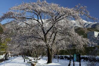 EOS5DsR+EF24-70mmF2.8LⅡUSM 44mm f16 1/30sec ISO100 PLフィルター